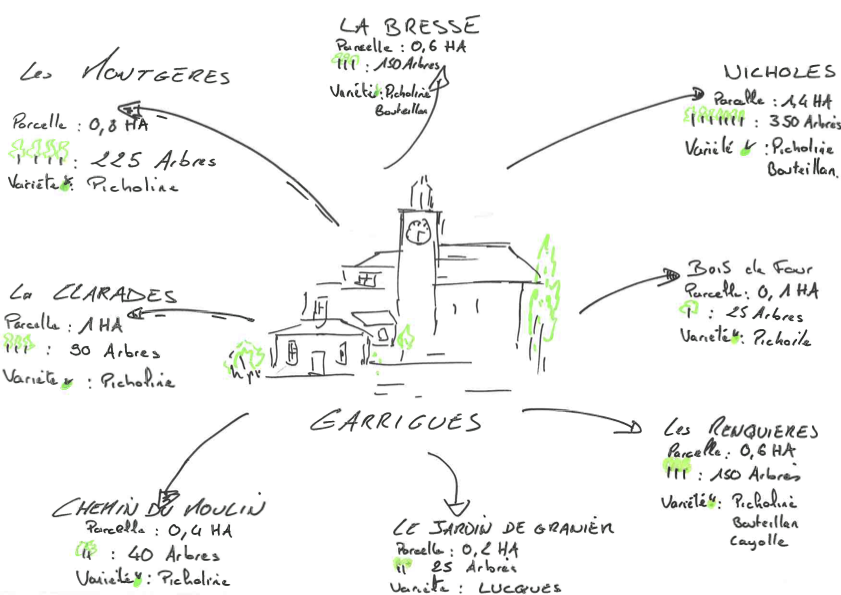 Le domaine