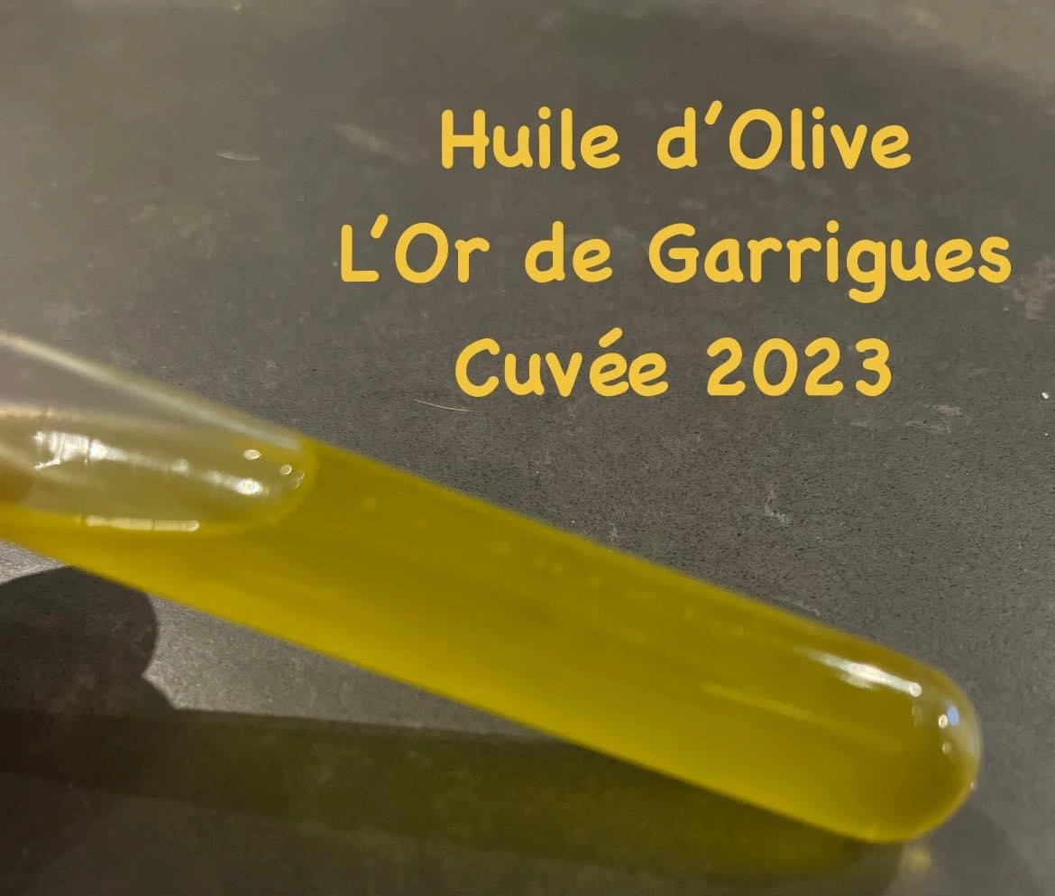La cuvée 2023 est disponible